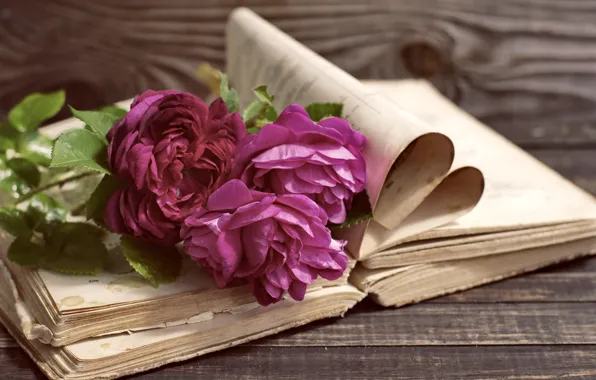 Картинка vintage, wood, flowers, beautiful, пионы, purple, book, peony