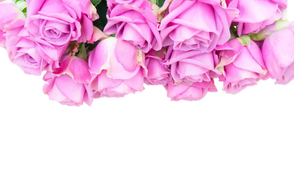 Розы, букет, pink, flowers, roses, розовые розы