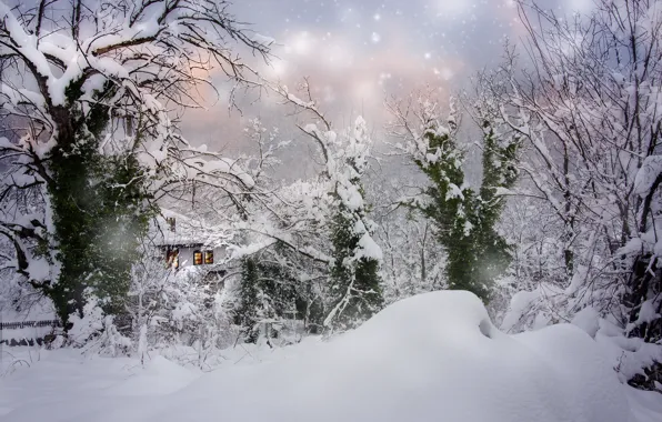 Картинка зима, снег, деревья, пейзаж, природа, дом, сугробы, снегопад