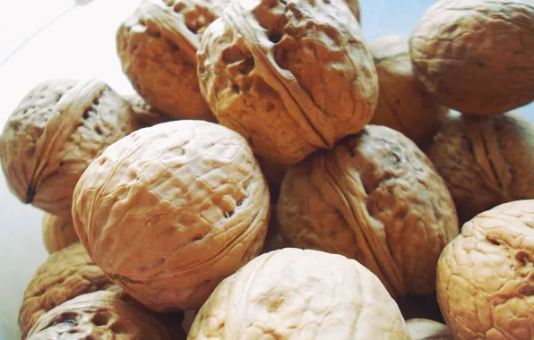 Golden, macro, walnuts