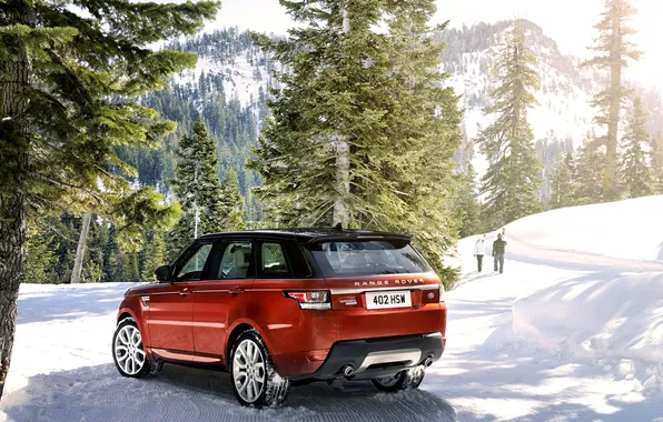 Зима, снег, деревья, пейзаж, горы, Land Rover, Sport