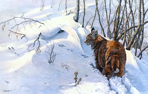 Картинка зима, снег, ветки, картина, арт, сугробы, живопись, рысь
