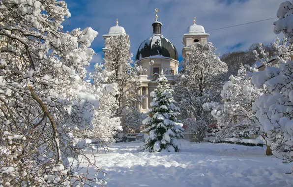 Зима, снег, деревья, природа, город, Австрия, церковь, собор