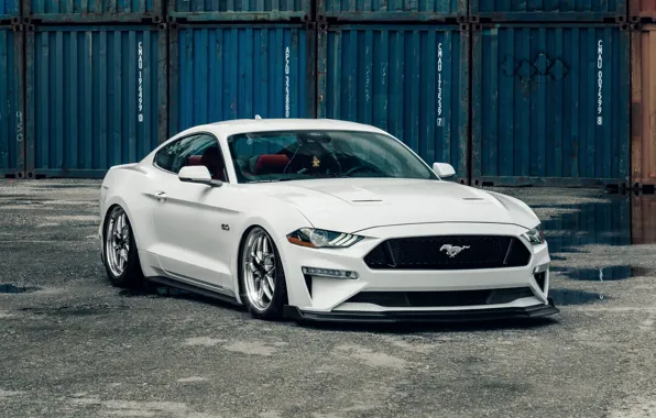 Mustang, Ford, Fastback, Mustang GT, Ford Mustang GT Fastback, 5.0L
