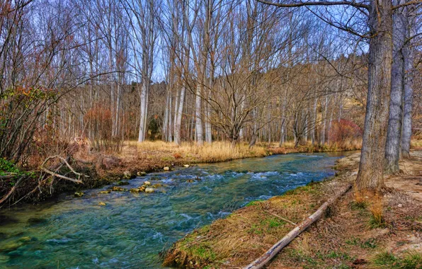 Осень, поток, речка, Nature, river, autumn