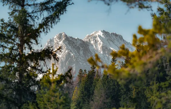 Nature, Sky, Wood, Mountain, View, Trees, Daniel Sessler