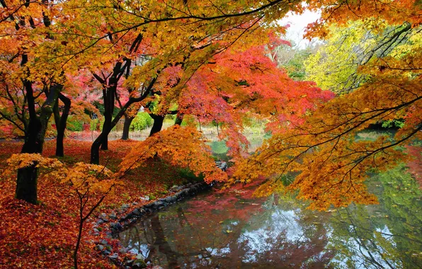 Картинка осень, листья, вода, деревья, пруд, парк, камни