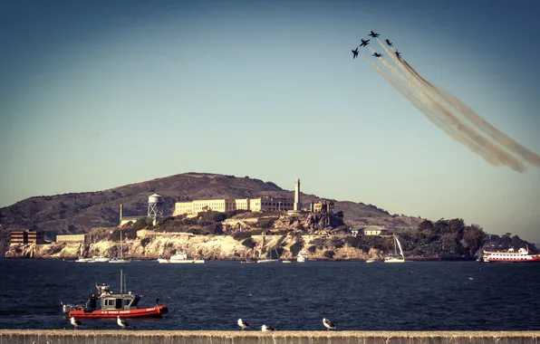 Картинка чайки, лодки, холм, Калифорния, Сан-Франциско, Алькатрас, Соединенные Штаты, береговой охраны