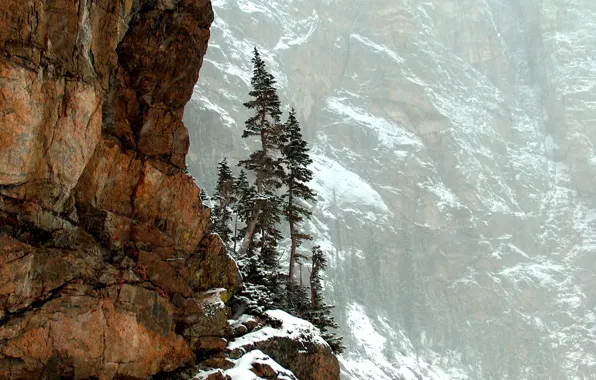 Деревья, горы, природа, скалы, Colorado, Rocky Mountain National Park