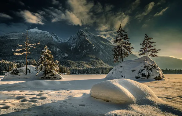 Зима, снег, деревья, горы, Германия, Бавария, Альпы, сугробы
