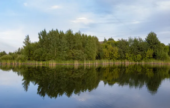 Картинка лето, деревья, озеро, вечер