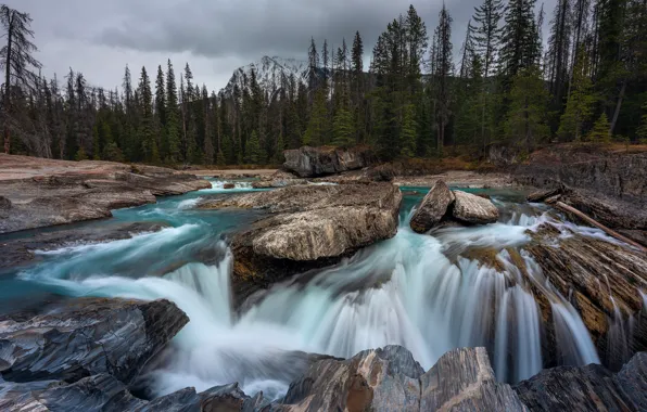 Картинка лес, горы, скалы, водопад, Канада, Альберта
