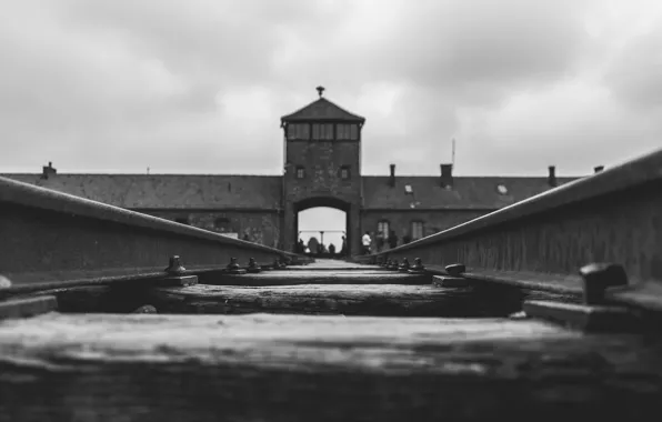 Auschwitz, World War 2, WW2, Awful, Tracks, History, World War Two, Karsten Winegeart