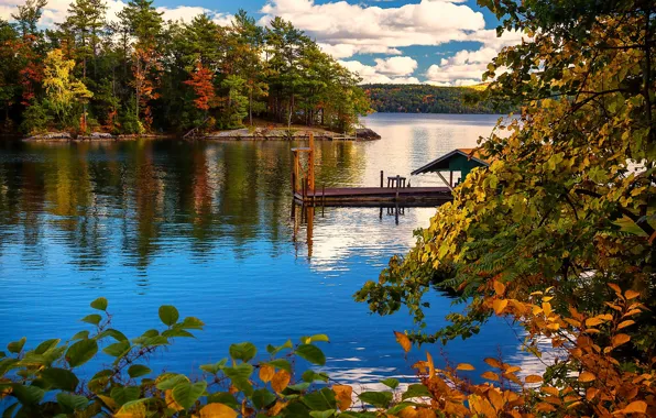 Осень, деревья, ветки, озеро, остров, пристань, Нью-Йорк, New York