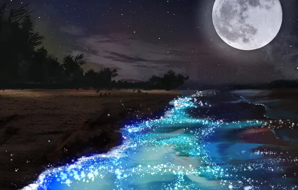 Картинка Moon, Landscape, Beach, Night, Scenery, Seaside