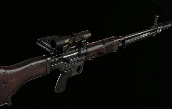 Германия, Автоматическая винтовка, FG 42
