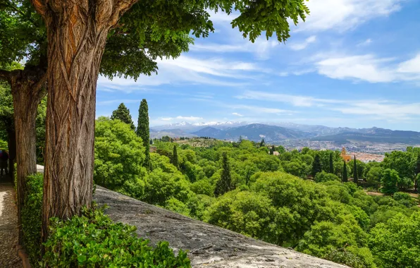 Деревья, пейзаж, природа, город, аллея, Испания, Гранада