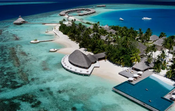 Пальмы, океан, остров, отель, экзотика, Maldives