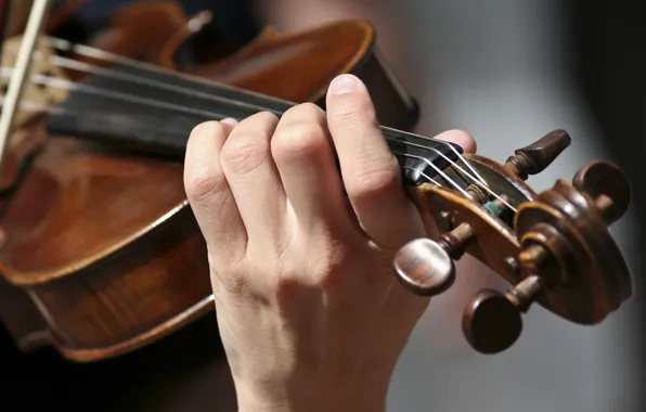 Человек, Скрипка, Струны