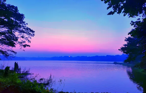 Sky, Grass, Sun, Water, Sunrise, Dawn, Morning, Lake