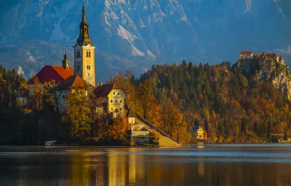 Лес, горы, озеро, церковь, Словения, Lake Bled, Slovenia, Бледское озеро