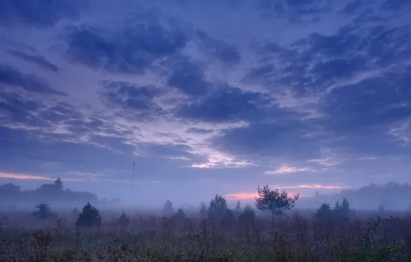 Небо, Облака, Восход
