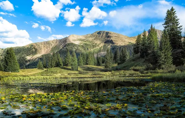 Картинка деревья, пейзаж, горы, озеро