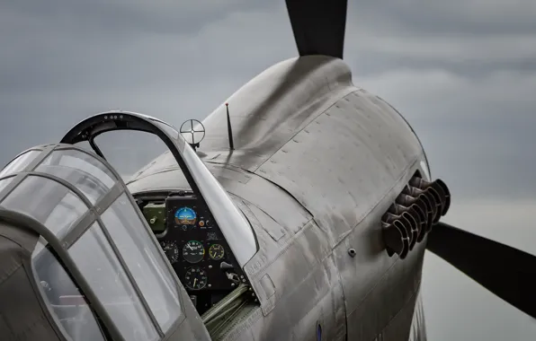 Истребитель, P-40, Warhawk
