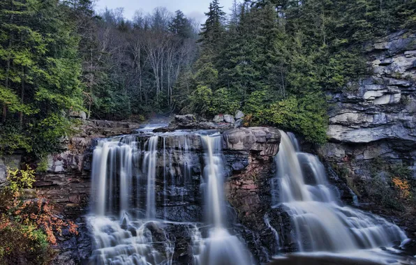 Картинка лес, скалы, водопад, Западная Вирджиния, West Virginia, каскад Блэкуотер, Blackwater Falls