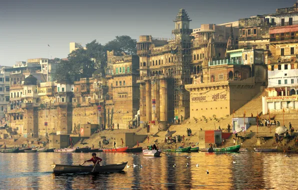 Картинка город, чайки, лодки, Индия