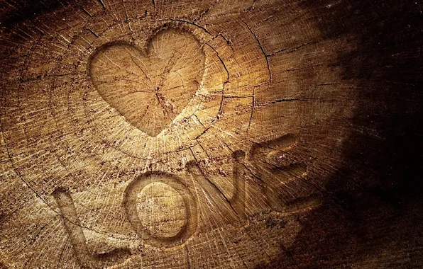 Картинка love, wood, Heart