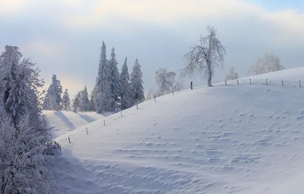 Картинка зима, снег, деревья, пейзаж, природа, забор