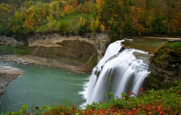 Картинка осень, лес, деревья, цветы, река, водопад