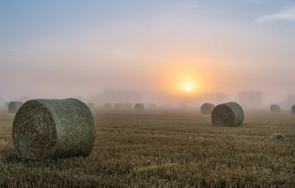 Картинка поле, туман, утро, сено