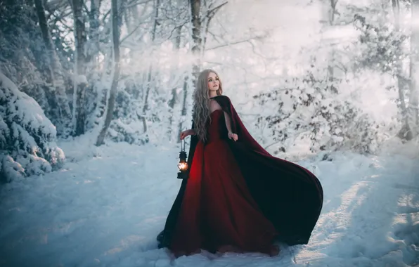 Картинка девушка, снег, платье, фонарь, Adam Bird