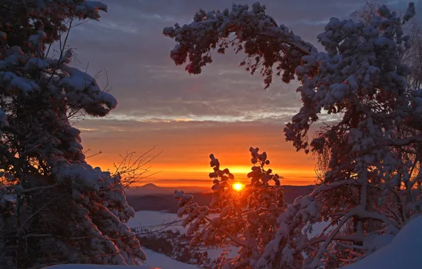 Картинка зима, снег, деревья, закат, Германия, Germany, Саксония, Saxony