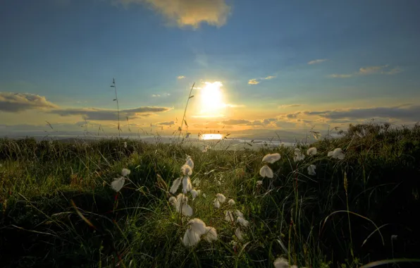 Картинка море, пейзаж, утро, Irish Cotton