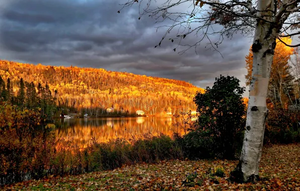 Осень, пейзаж, тучи, природа, озеро, дерево, холмы, Канада