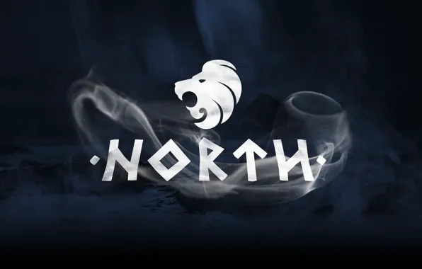 Team, CSGO, Professional, North, Denmark, Esports