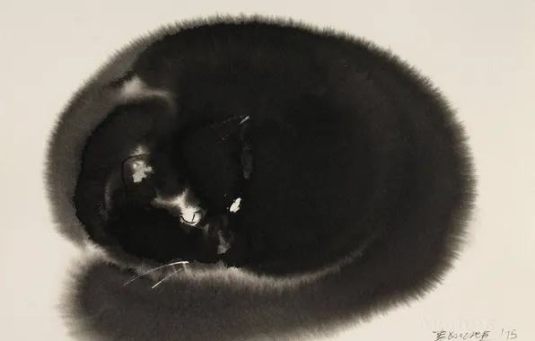 Взгляд, рисунок, кошак, акварель, живопись, светлый фон, пушистик, черный кот