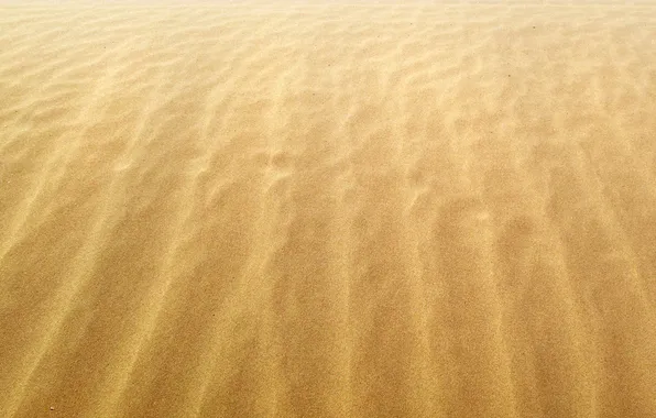 Песок, ветер, берег, побережье, желтые, песчинки, пески, пляжи