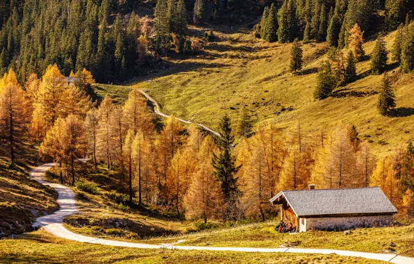 Картинка дорога, осень, деревья, горы, дом, Германия, Бавария