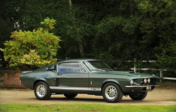 Картинка Ford Mustang, 1967, Muscle Car, Shelby GT350