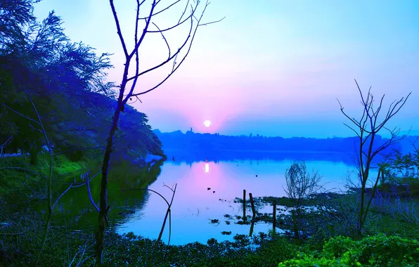 Sun, Water, Sunrise, Dawn, Morning, Lake, Trees, Reflection