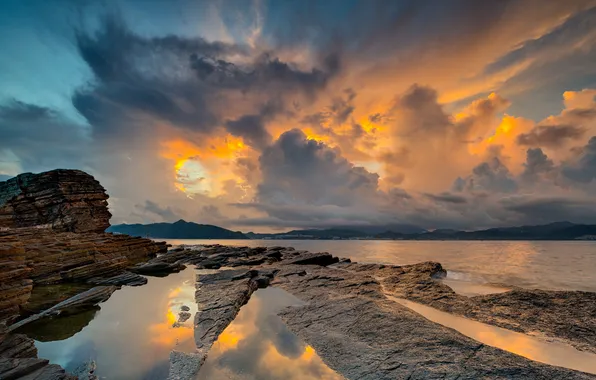 Yellow, beautiful, shot, hong-kong, ping, chau, tung