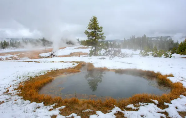 Осень, снег, пейзаж, природа