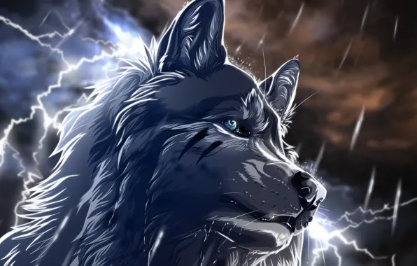 Ночь, дождь, молнии, Волк, art, wolfroad