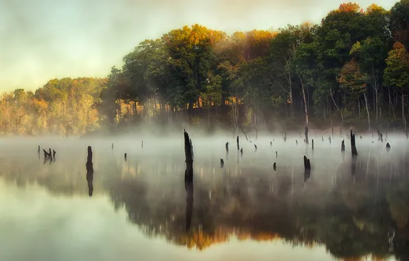 Картинка небо, деревья, туман, озеро, отражение, зеркало