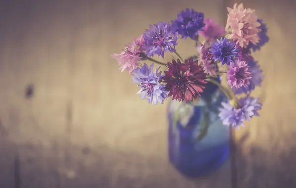Картинка water, flowers, bottle