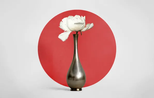 Япония, минимализм, Japan, натюрморт, flower, ваза с цветами, пион, peony